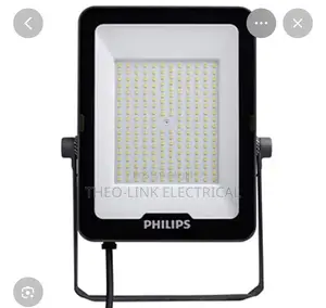 100w Philip Flood Light