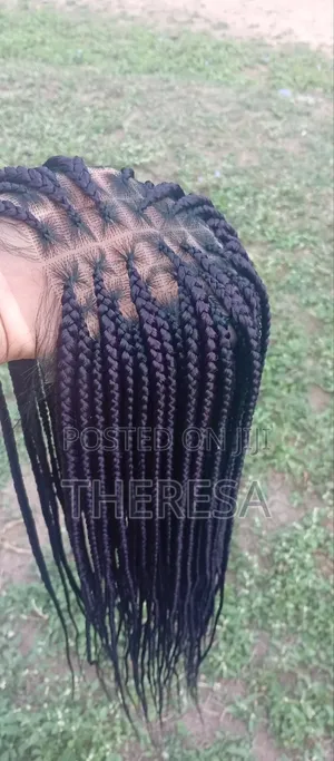 Beautiful and Quality Braids Wig