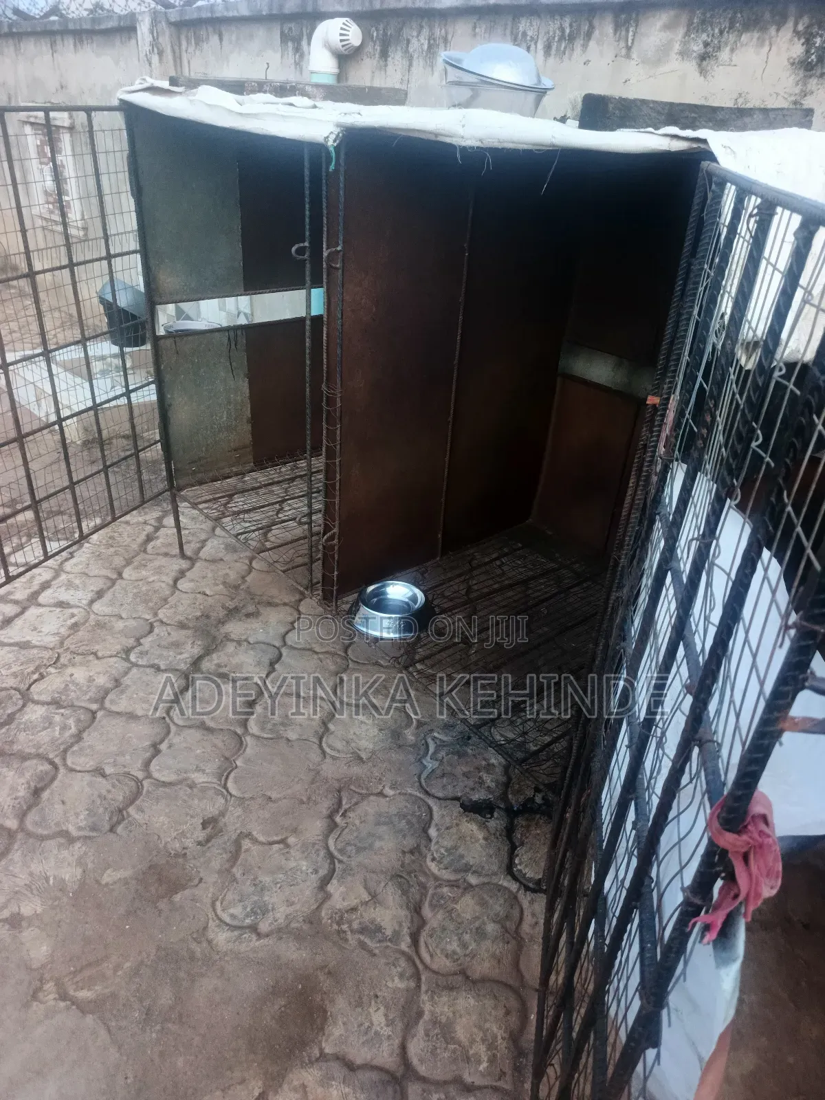 Neatly Used Dog Cage