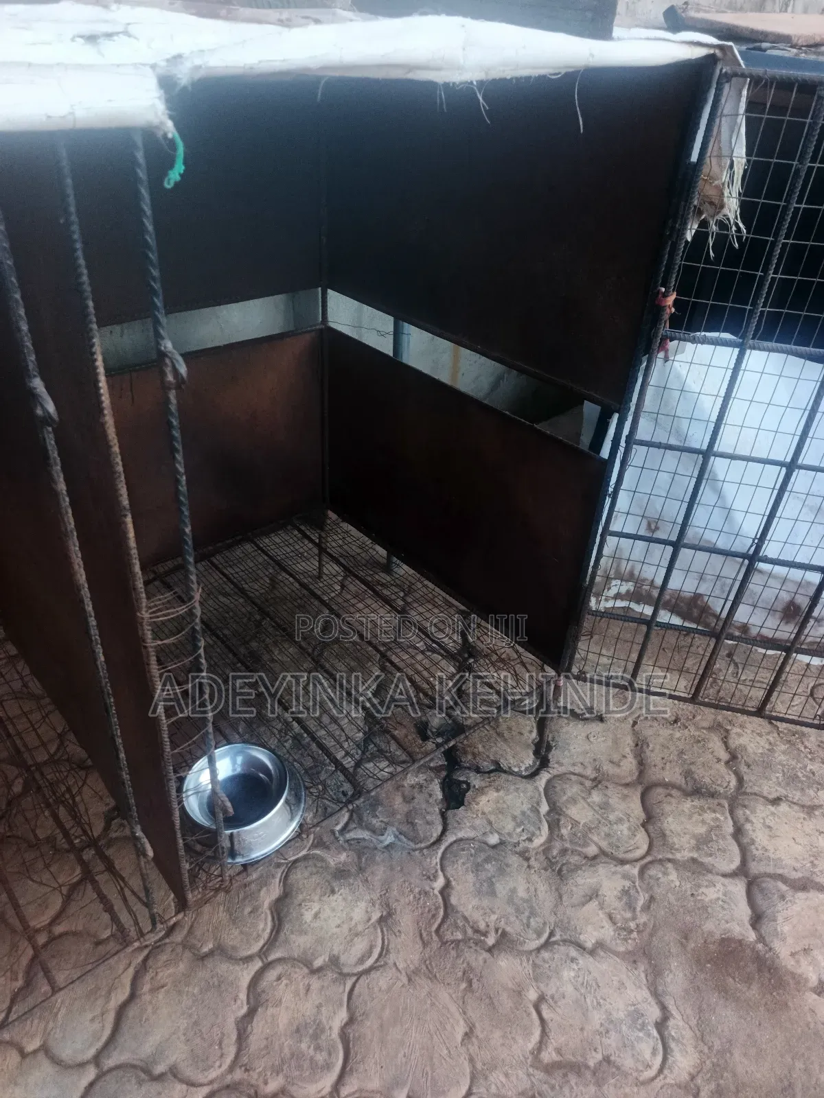 Neatly Used Dog Cage