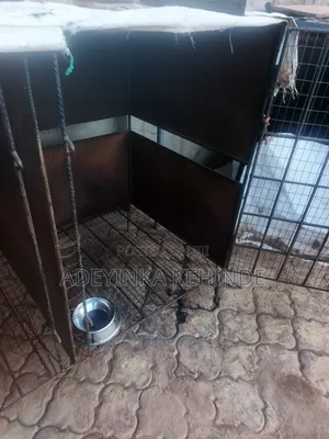 Neatly Used Dog Cage