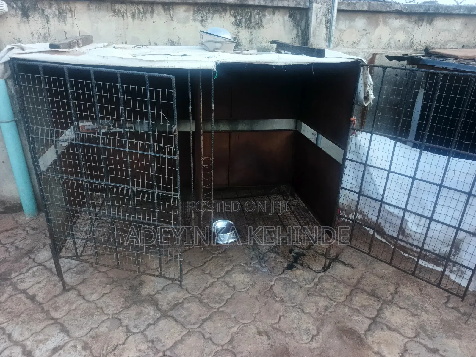 Neatly Used Dog Cage