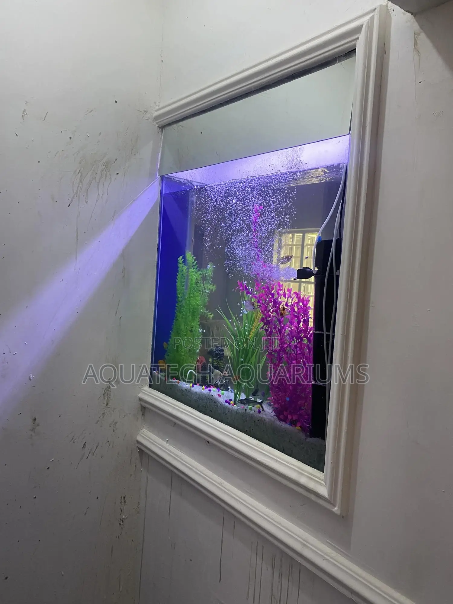 Wall Aquarium