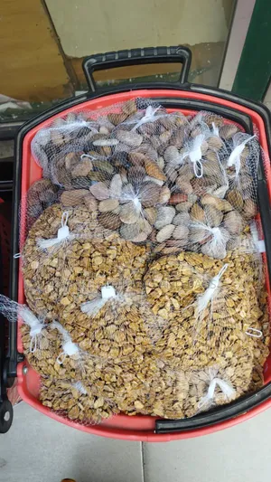 Pebbles Stone for Decorating Flower