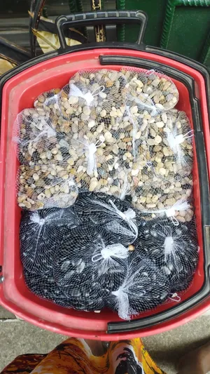 Pebbles Stone for Decorating Flower
