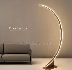 Standing Classy Lamp