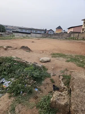 Available Land for Sale Along Alpha Beach Igb Efon