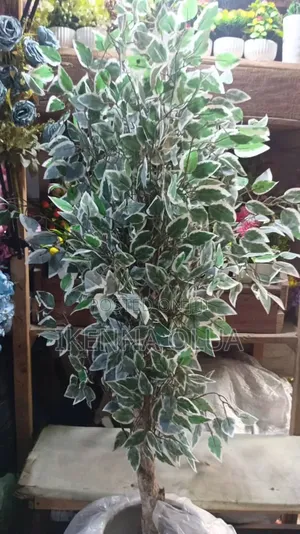 Flowers Vase