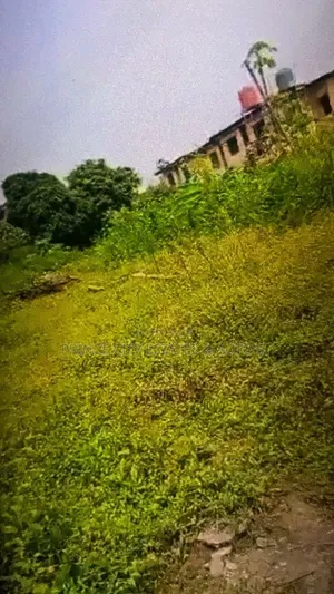 Land for Sale in Surulere