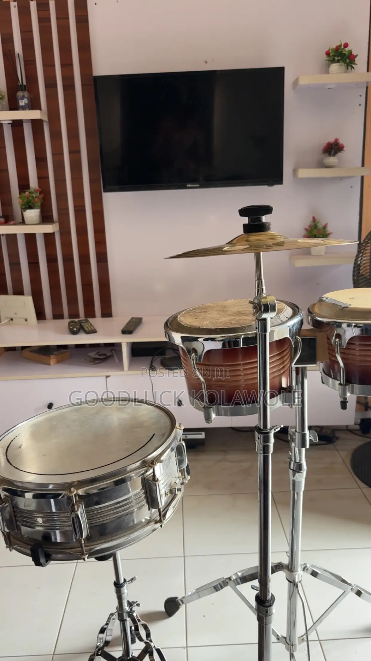 Bongo Conga