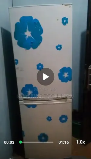Standing Fridge and Freezer