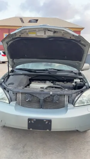 Lexus RX 2006 Beige