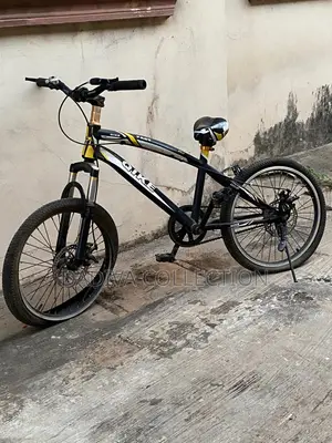 Qike Powersport R3 Bicycle