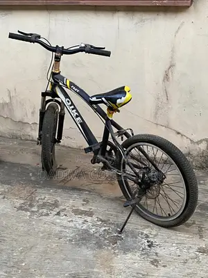Qike Powersport R3 Bicycle