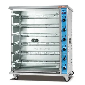 Chicken Roaster Gas Standing