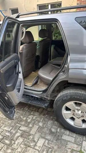 Toyota 4-Runner 2008 Gray