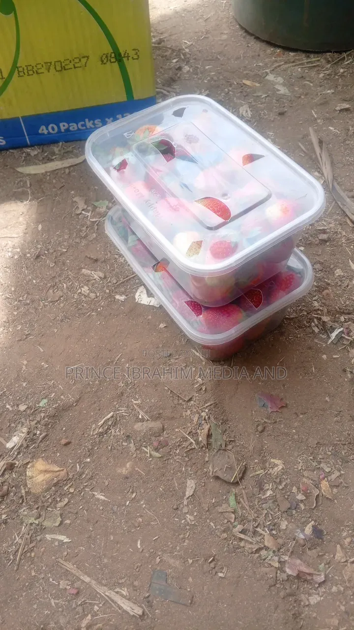 Fresh Strawberry