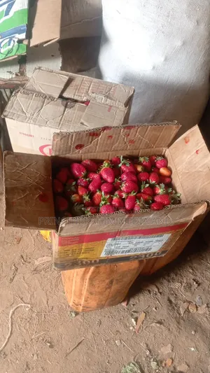 Fresh Strawberry