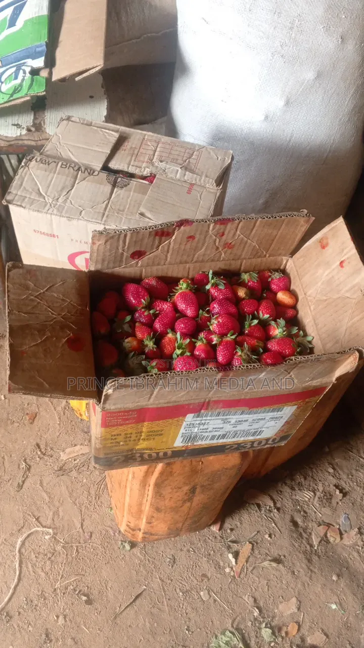 Fresh Strawberry
