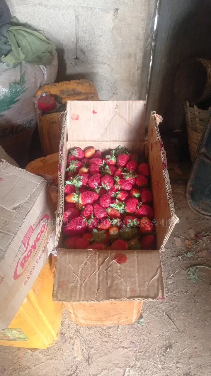 Fresh Strawberry