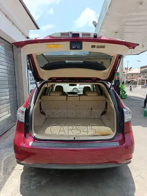 Lexus RX 2010 Red