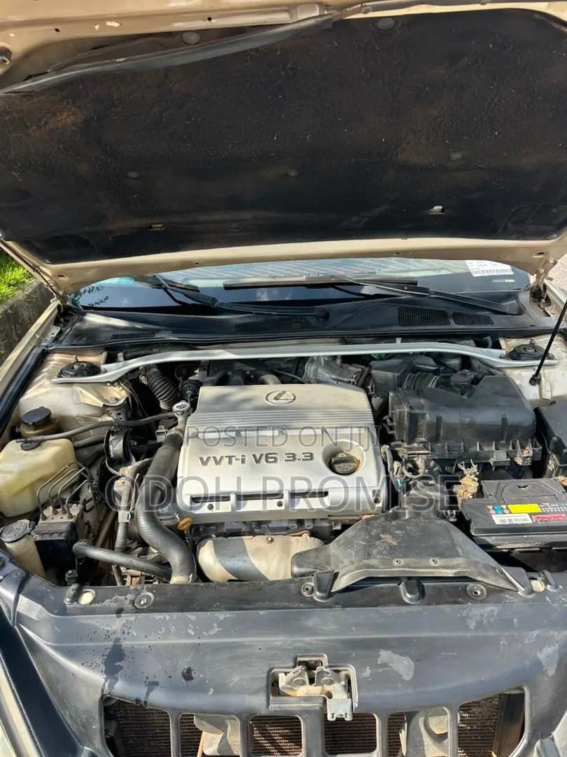 Lexus ES 330 2006 Brown