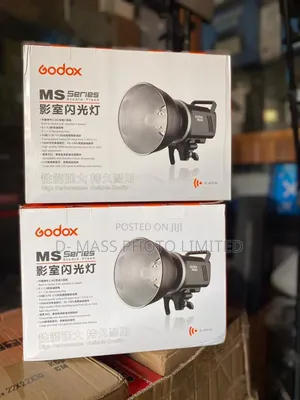 Godox Flash Light Ms 300