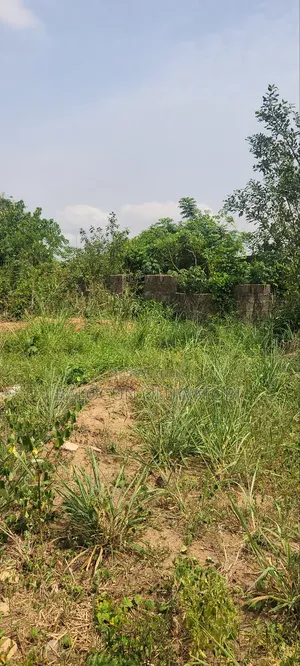 A Plot of Land at Phoenix, Just After Ogijo