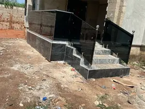Entrance Black Glass Handrails