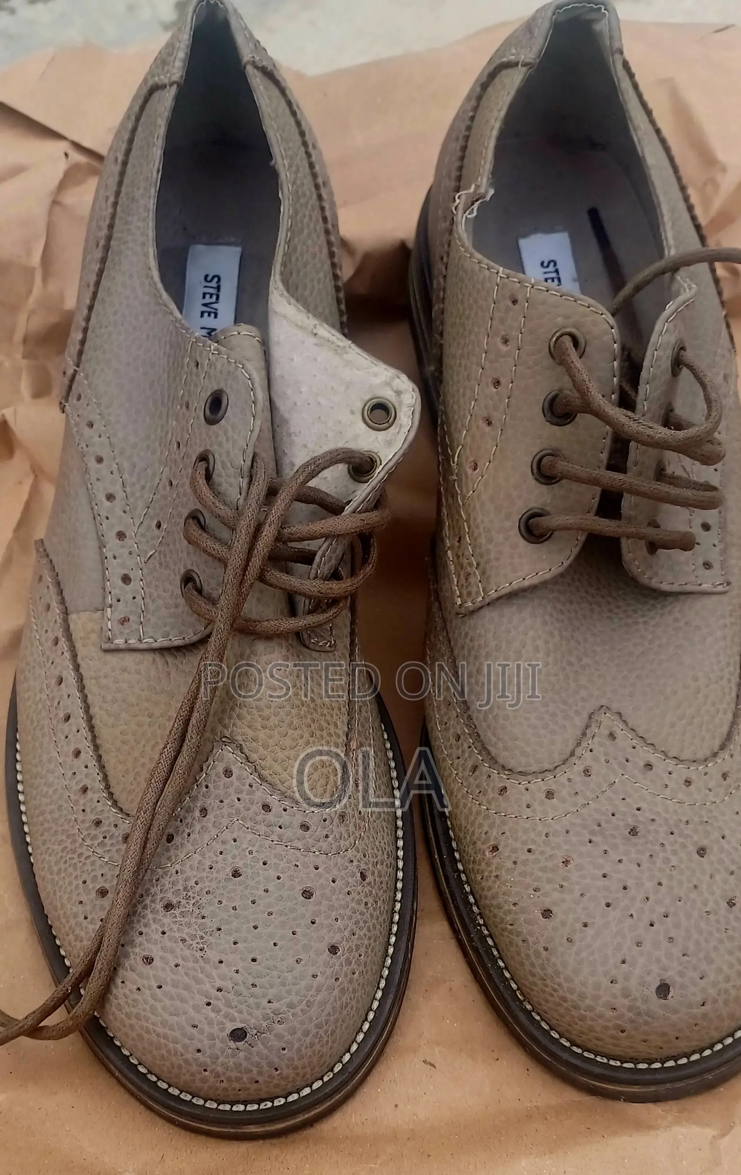 Steve Madden Oxford Wingtip "Ethin"Grey Mens