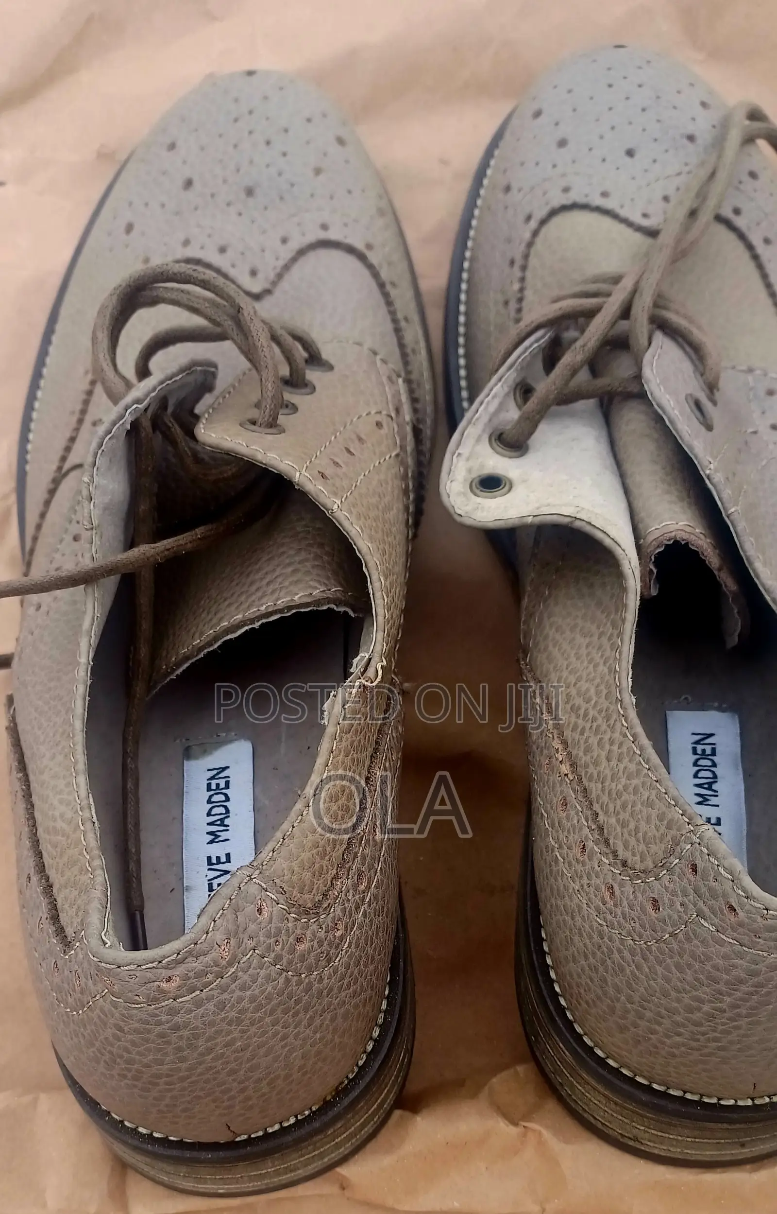Steve Madden Oxford Wingtip "Ethin"Grey Mens