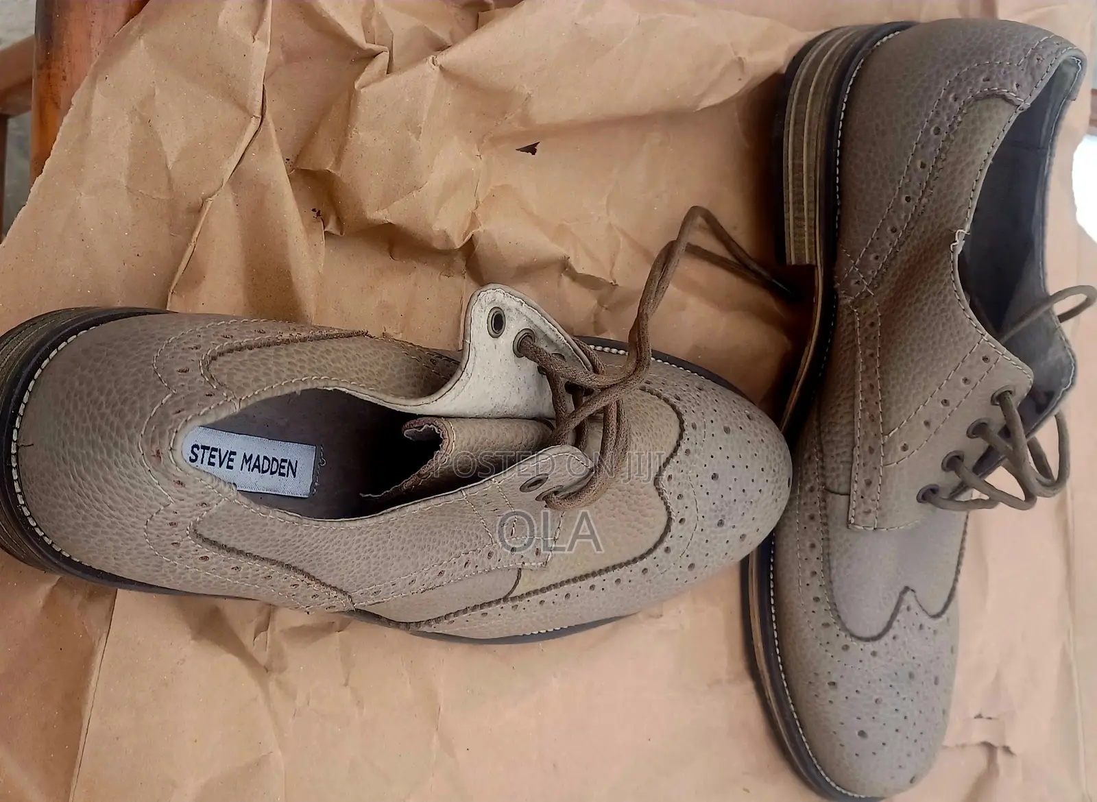 Steve Madden Oxford Wingtip "Ethin"Grey Mens