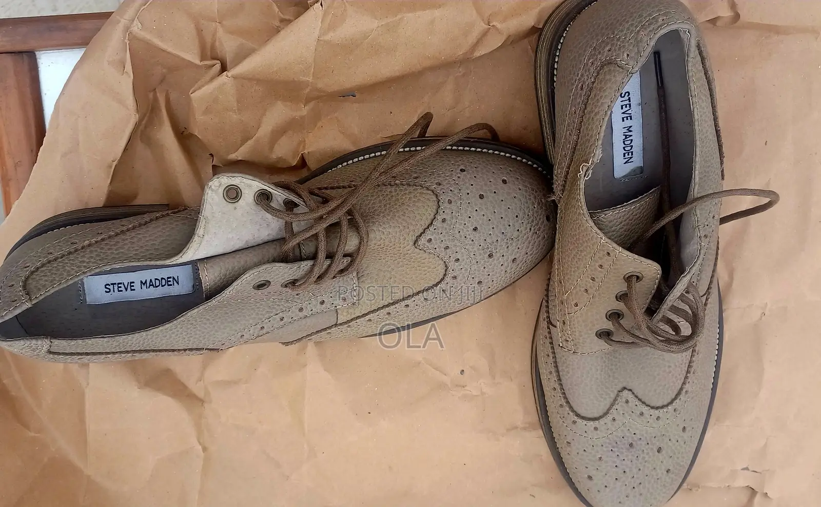 Steve Madden Oxford Wingtip "Ethin"Grey Mens