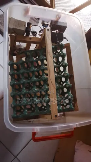 Portable Incubator