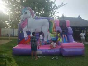 Bouncing Castles For Rent, Mascots And Clowns