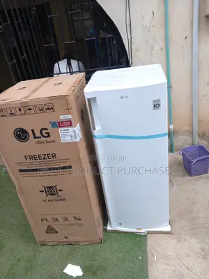 Lg Gn-304sqbr: Best Freezer for Frozen Foods Store