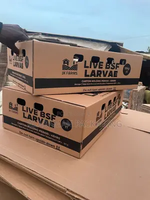 Carton Box