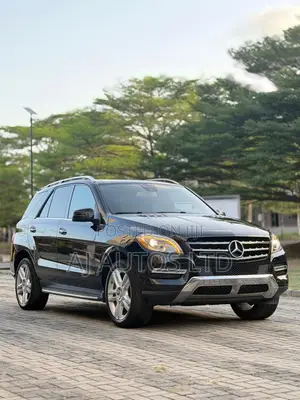 Mercedes-Benz M Class 2015 Black