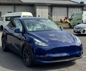 New Tesla Model Y Performance AWD 2024 Blue
