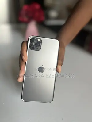 Apple iPhone 11 Pro Max 256 GB Gray