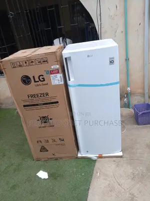 Super Silent Lg Gn-304sqbr Vertical Freezer