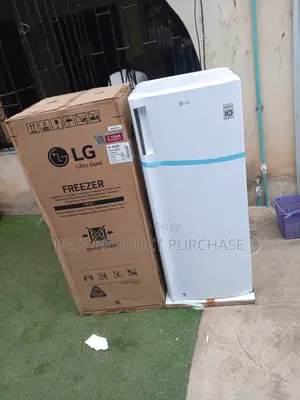 Lg Gn-304sqbr Upright Freezer - Eco Friendly