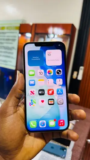 Apple iPhone 12 Pro Max 256 GB Blue