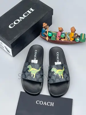 Coach Rexy Signature Slides