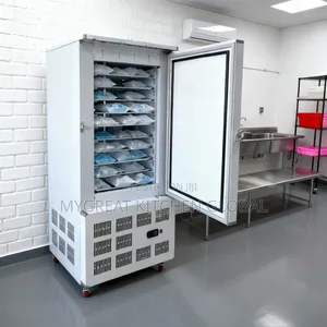 Blast Freezer 10trays