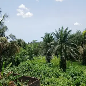 Residents or Farmland for Sale in Lagos