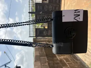 Zara Chain Bag