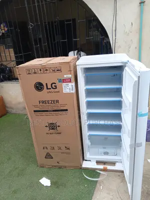 Lg Gn-304sqbr Freezer – Perfect for Bulk Storage