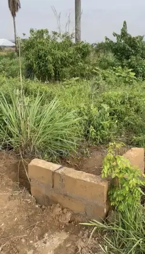 2and Half Plot Of Land At Awka
