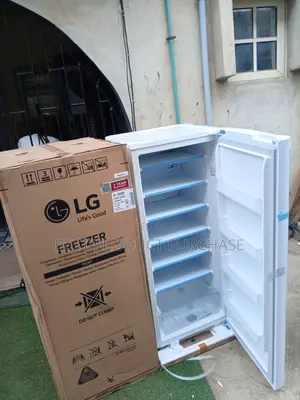 Lg Upright Freezer Gn-304sqbr – Excellent Cooling Speed